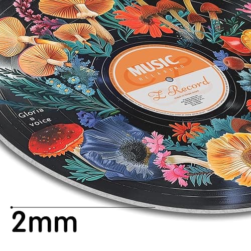 HK Studio Hippie Decor, Posters for Room Aesthetic - Botanical Wall Art, Record Decor, 4pcs 12" thumbnail 4