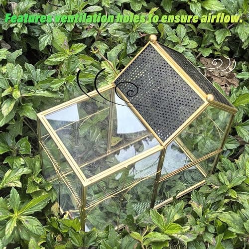 YYFWND Ready-to-Use Glass Terrarium with Vents - 8.66"x4.72"x8.46" House-Shaped Jumping Spider Enclosure, Habitat for Praying Mantis, Snails, Insect or Succulent Plants - Home Garden Tabletop Decor thumbnail 5