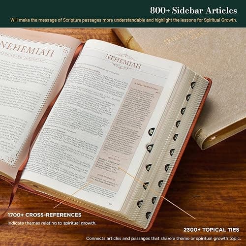 The Spiritual Growth Bible, Study Bible, NLT - New Living Translation Holy Bible, Faux Leather, Pearlescent Taupe (NLT Spiritual Growth Editions) thumbnail 5