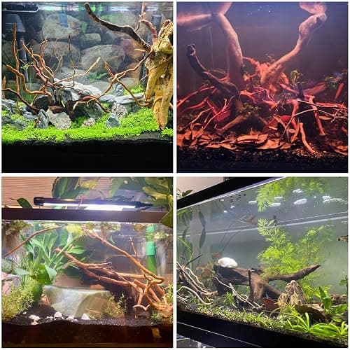 Azil Natural Aquarium Driftwood Root – Driftwood for Aquarium Decor, 170g~0.38lb (14″–16″), Fish Tanks, Terrariums, Aquascaping & Planted Tanks thumbnail 3