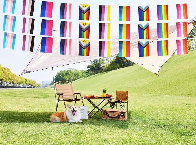 60 All Pride Rainbow Gay String Flag, 66 ft Progress Rainbow Gay Pride Flag Bunting Banner,LGBTQ Flag Banner Decoration for Sports Events, Grand Opening, Party thumbnail 5