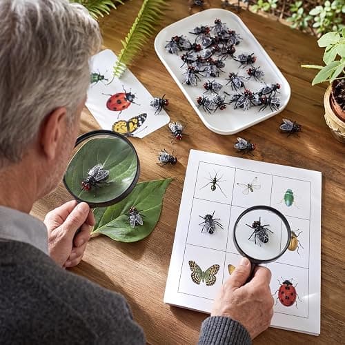 Gejoy 60 Pcs Plastic Fake Flies Mini Realistic Fly Bugs Pranks Toys | Tiny Bulk Prank Bugs, Realistic Insects for Halloween Party Pranks Jokes, Frog Crafts Teaching Props Tricking Favors thumbnail 4