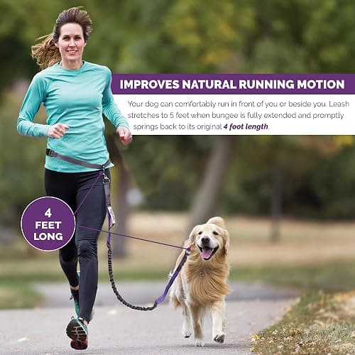 Tuff Mutt Hands-Free Waist Leash for Dog Walking, Running and Hiking, Adjustable Belt with Double Handle, Reflective Bungee Design for Large & Medium Dogs thumbnail 3
