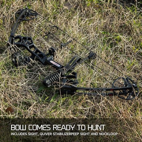 Compound bow thumbnail 3