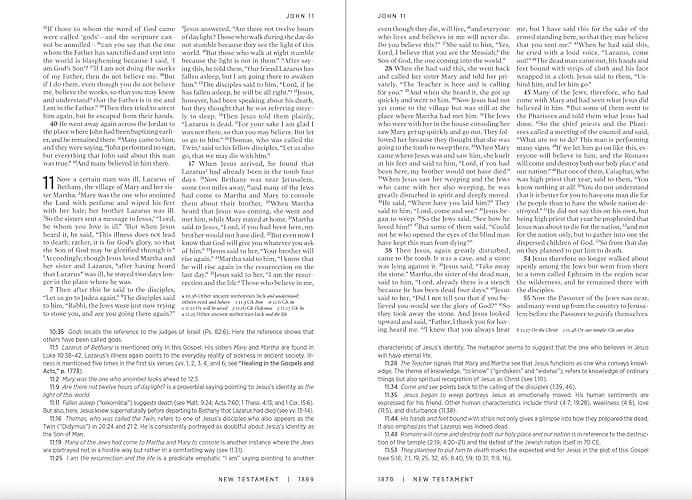 The Westminster Study Bible: New Revised Standard Version Updated Edition with the Deuterocanonical/Apocryphal Books thumbnail 4