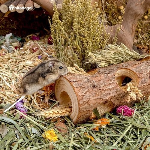 Niteangel Natural Wooden Hamster Mouse Tunnel Tube Toy Forest Hollow Tree Trunk thumbnail 4