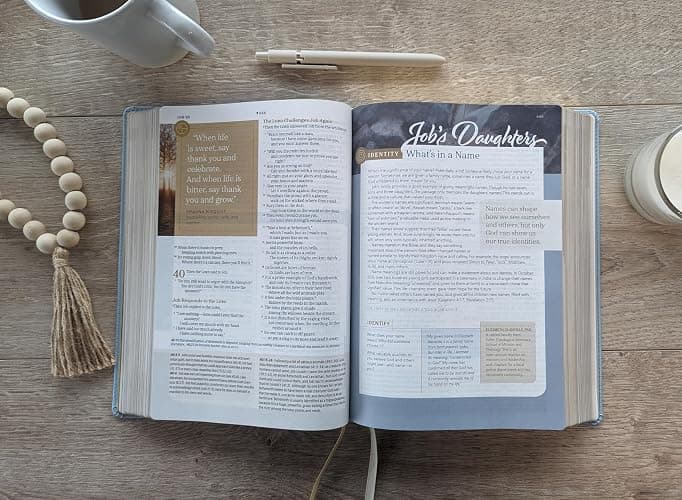 NLT Every Woman’s Bible, Filament Enabled (LeatherLike, Sky Blue, Red Letter) thumbnail 9
