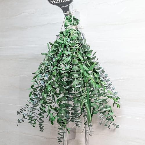 3kinds Natural Eucalyptus Stems 24PCS - 17inch Eucalyptus Set for Shower Bundle Real Eucalyptus Leaves Branches Vase Filler, Dried Flowers Arrangement Home Decor Wedding Decor - Image 1