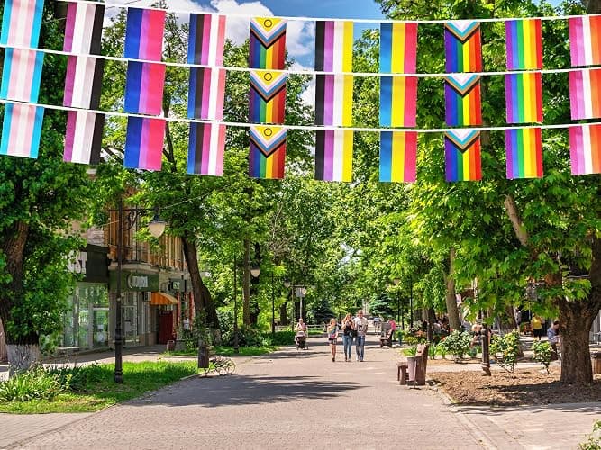 60 All Pride Rainbow Gay String Flag, 66 ft Progress Rainbow Gay Pride Flag Bunting Banner,LGBTQ Flag Banner Decoration for Sports Events, Grand Opening, Party thumbnail 2