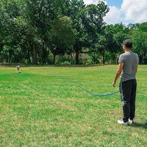 Hi Kiss Dog/Puppy Obedience Recall Training Agility Lead - 15ft 20ft 30ft 50ft 100ft Leash Great for Training, Play, Camping, or Backyard Black thumbnail 7