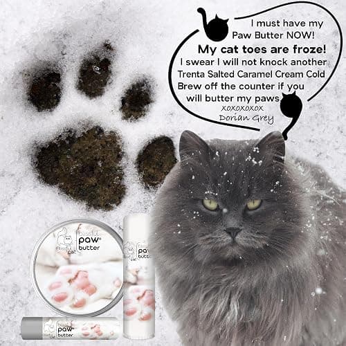 The Blissful Cat Paw Butter, Moisturizer for Dry Paw Pads, Softens and Protects Rough Feet, Versatile, Lick-Safe Balm, 2 oz. thumbnail 4