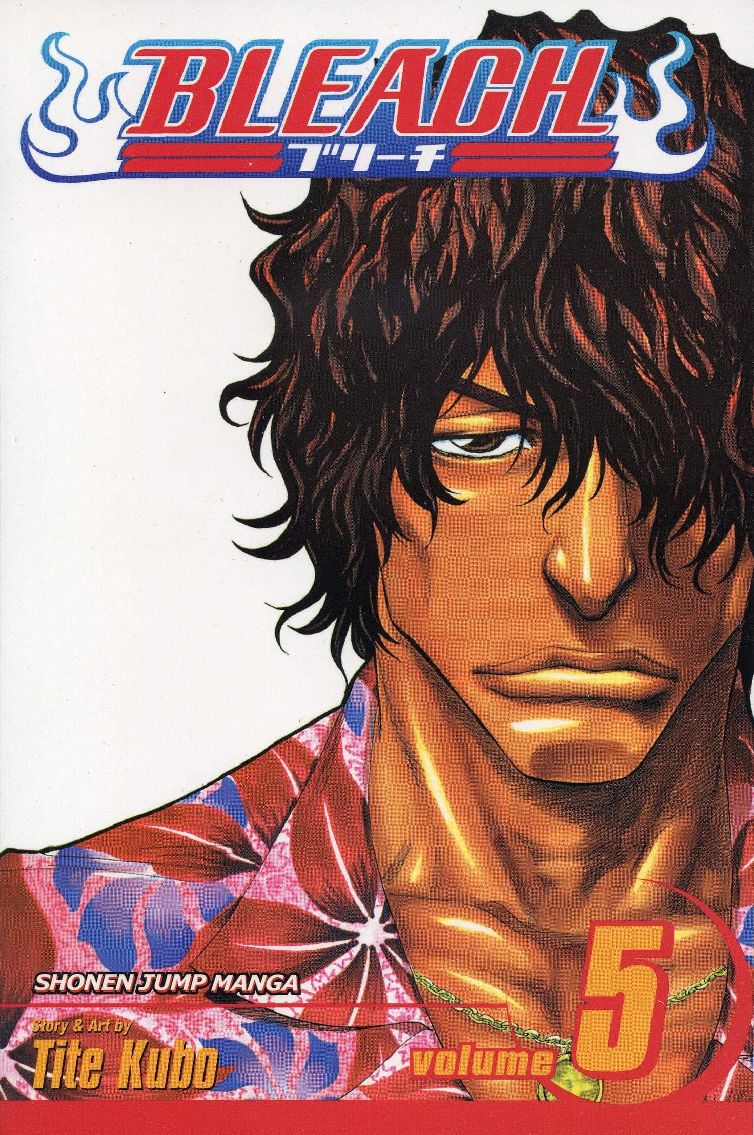 Bleach, Vol. 5: Right Arm of the Giant (Volume 5) - Image 1