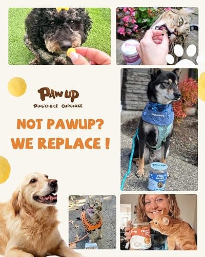 PAWUP Freeze Dried Cat & Dog Treats, Natural Quail Egg Yolk, Single Ingredient, High-Protein Pet Snacks for Skin & Coat Health, No Artificial Additives, 9.2 oz | Cat Food Topper, Kitten Treats, Premium Quality Protein, Rawhide Free, Gluten&Grain Free thumbnail 7