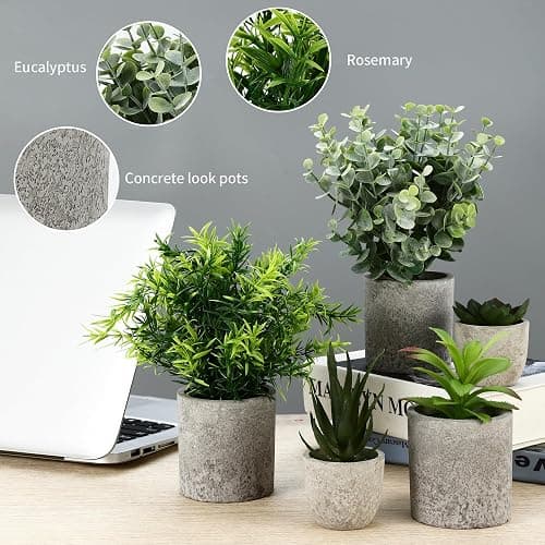 5 Stück Kunstpflanze, Mini Künstliche Pflanzen Schlangenzunge, Agave Sukkulente, Eagle Claw Aloe, Künstliche Pflanzen für Schlafzimmer Büro Dekoration thumbnail 5