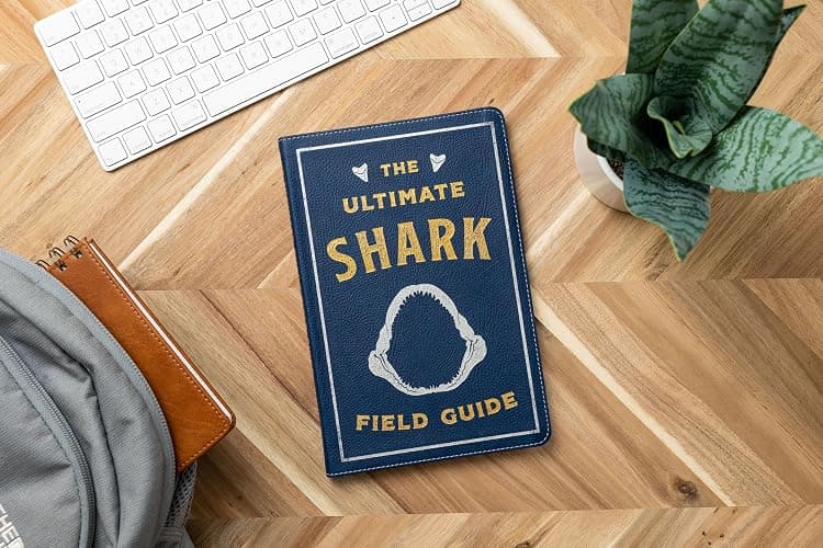 The Ultimate Shark Field Guide: The Ocean Explorer's Handbook (Ultimate Field Guides) thumbnail 8