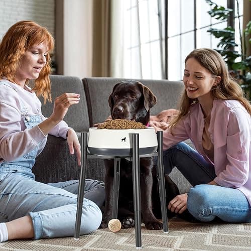 PROERR Raised Single Dog Bowl Stand, Adjustable 12-16" Tall, Elevated Dogs Food Bowl Stand for 8-12" Wide Bowls, Dog Bowl Holder for Medium Large - Metal Pets Dish Holder Only - Black thumbnail 7