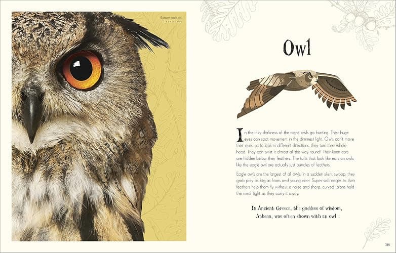 Anthology Of Intriguing Animals thumbnail 9
