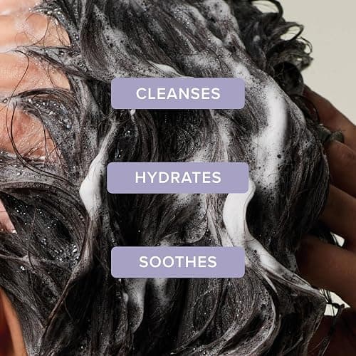 Tea Tree Lavender Mint Moisturizing Shampoo, Hydrates + Soothes, For Coarse + Dry Hair thumbnail 2