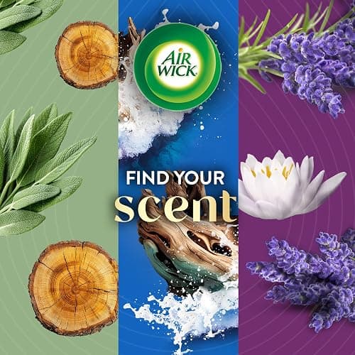 Air Wick Vibrant Plug-In Scented Oil Refills, 4 Count, Sweet Vanilla & Shea Butter, Air Freshener, Essential Oils thumbnail 7