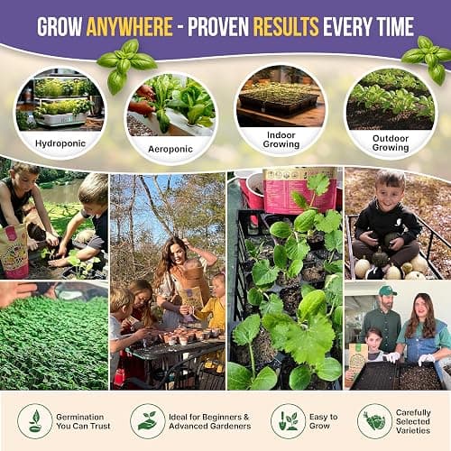 35 Medicinal & Tea Herb Seeds Variety Pack for Indoor & Outdoors. 16,335+ Non-GMO Heirloom Garden Seeds: Anise, Bergamot, Borage, Cilantro, Chamomile, Dandelion, Rosemary Seeds & More thumbnail 6