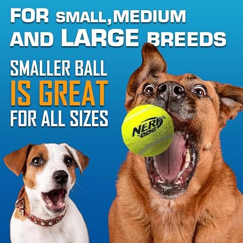 Nerf Dog Tennis Ball Blaster Dog Toy Gift Set, Tennis Ball Dog Fetch Toy Launches up to 50 ft, Dog Ball Thrower for All Breeds Includes Translucent Blue Tennis Ball Launcher and 3 Dog Tennis Balls thumbnail 6