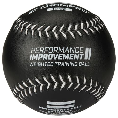 CHAMPRO Weighted Training Softballs - Individual - Image 1