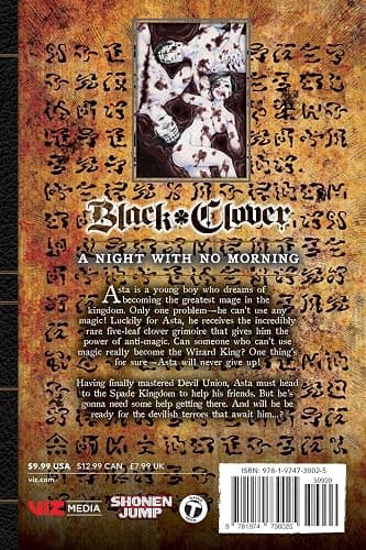 Black Clover, Vol. 29 thumbnail 2
