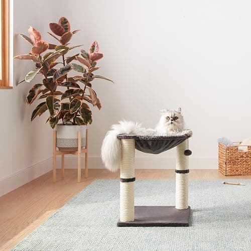 Bowl Bed for Poe! thumbnail 4