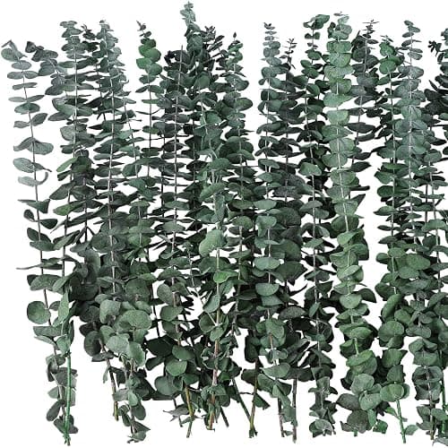 20 Pcs Dried Eucalyptus Stems 17" Real Eucalyptus for Shower Hanging 100% Made from Fresh Leaves, Wedding, Home, Farmhouse, DIY Spring Decor thumbnail 3