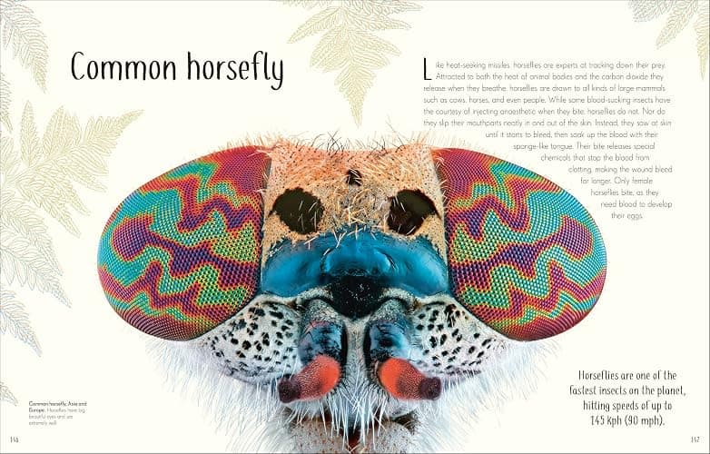 An Anthology of Remarkable Bugs (DK Children's Anthologies) thumbnail 10