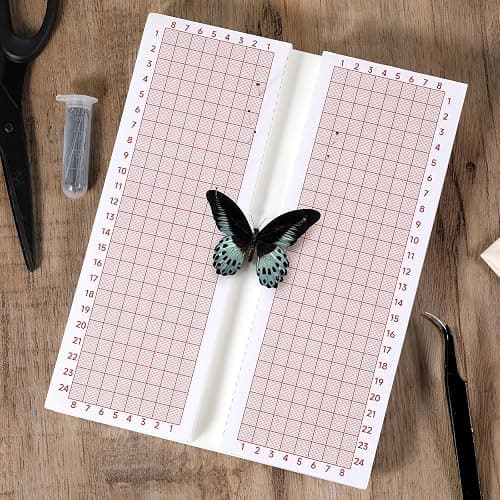 Butterfly Pinning Board Insect Pinning Board Butterfly Spreading Boards Foam Boards for Pinnings Insects Dual-Sided Bug Pin Trapping Boardes with Wings, EVA Foam - Image 1