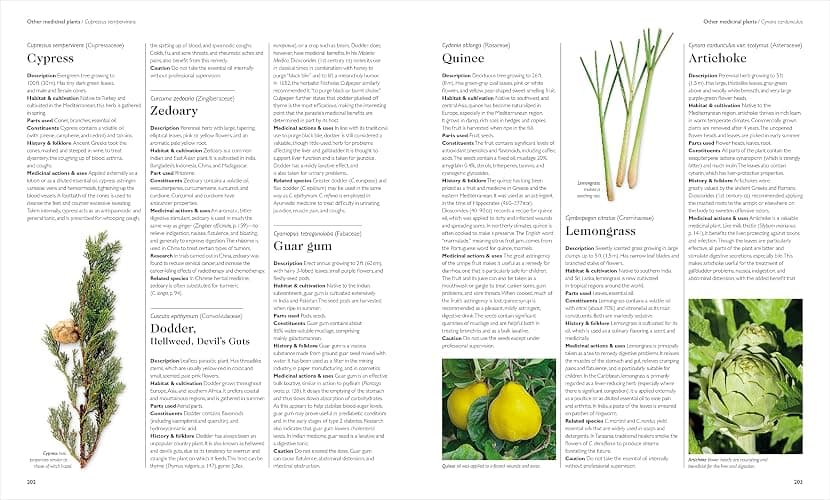 Encyclopedia of Herbal Medicine New Edition: 560 Herbs and Remedies for Common Ailments thumbnail 8