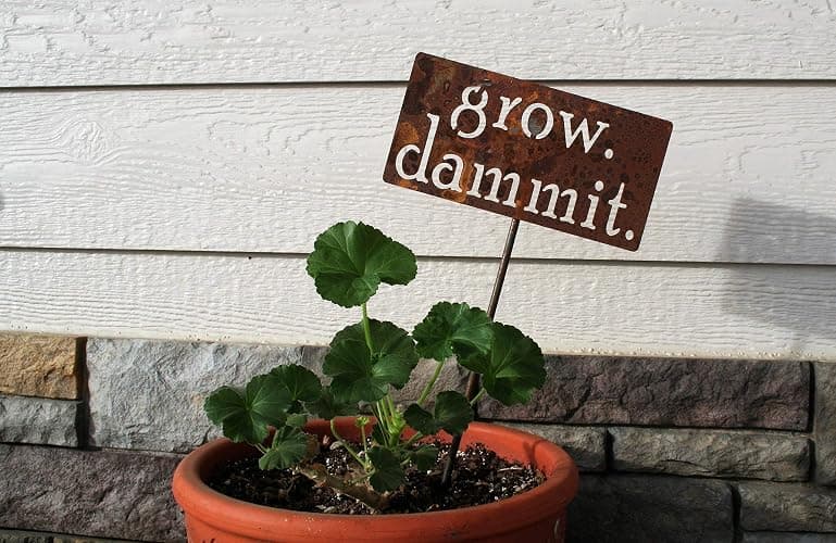 Grow. Dammit. Metal Garden Stake 20 to 28 Inches Tall (Small 20", Naturally Rusted) thumbnail 5