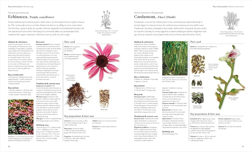 Encyclopedia of Herbal Medicine New Edition: 560 Herbs and Remedies for Common Ailments thumbnail 5