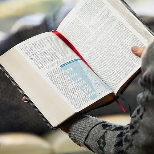 ESV, MacArthur Study Bible, 2nd Edition, Premium Goatskin Leather, Brown, Premier Collection: Unleashing God's Truth One Verse at a Time thumbnail 12