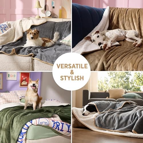 LE SURE Waterproof Dog Blanket Washable - 100x80cm Fleece Pet Blanket For Medium Dogs and Cats, Personalised Kitten Throw Protects Bed and Sofa with Soft Plush, Grey thumbnail 6