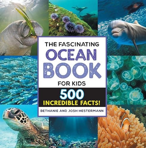 The Fascinating Ocean Book for Kids: 500 Incredible Facts! (Fascinating Facts) - Image 1