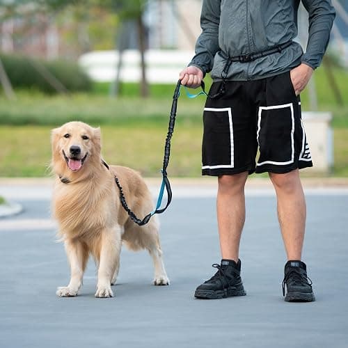 iYoShop Hands Free Dog Leash with Zipper Pouch, Dual Padded Handles and Durable Bungee for Walking, Jogging and Running Your Dog (Large, 25-120 lbs, Khaki) thumbnail 7
