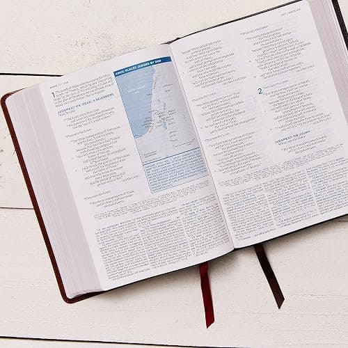 ESV, MacArthur Study Bible, 2nd Edition, Premium Goatskin Leather, Brown, Premier Collection: Unleashing God's Truth One Verse at a Time thumbnail 5