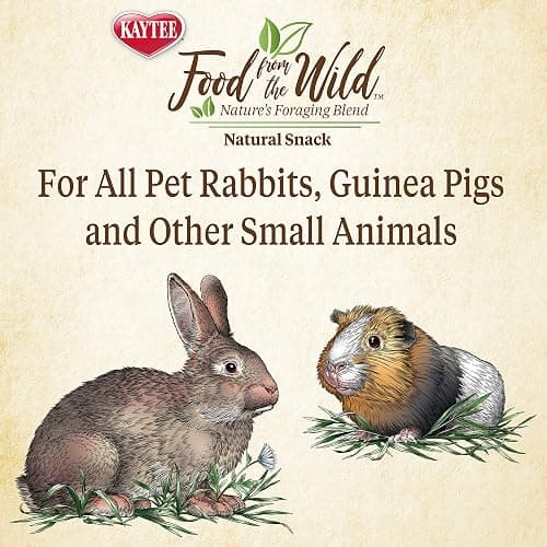 Kaytee Food from The Wild Natural Snack for Pet Rabbits, Guinea Pigs and Other Small Animals, 1 Ounce (Pack of 2) thumbnail 5