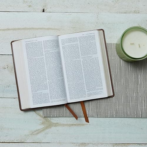 NRSV Catholic Edition Gift Bible, White Leathersoft (Comfort Print, Holy Bible, Complete Catholic Bible, NRSV CE): Holy Bible thumbnail 8