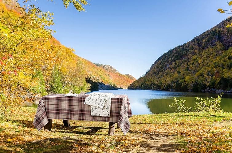 Eddie Bauer - Flannel Sheets Full Size, Anti-Pilling & Wrinkle Resistant Cotton, Touchably Soft for All-Season Comfort - Bed Sheets with Matching Pillowcases & Fitted Sheet (School of Fish Green) thumbnail 14