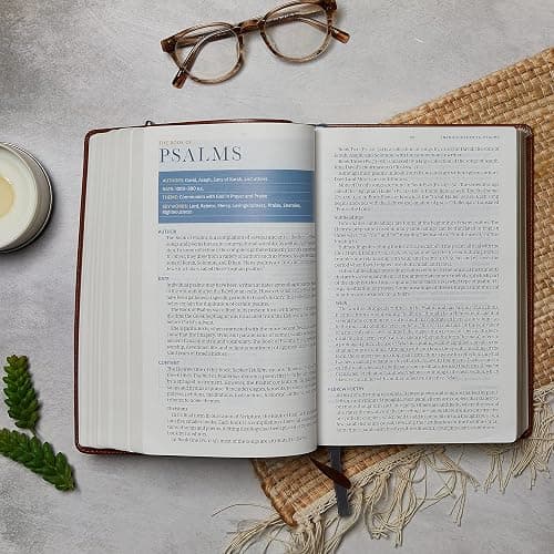 NKJV, Spirit-Filled Life Bible, Third Edition, Leathersoft, Burgundy, Red Letter, Comfort Print: Kingdom Equipping Through the Power of the Word thumbnail 12