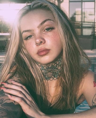Velcare 1-16Pcs 16G 18G 20G 22G Nose Rings Hoops Nose Piercings Fake Nose Ring Fake Septum Nose Ring Fake Lip Rings Fake Septum Piercing Fake Nose Piercing Fake Nose Hoop Faux Nose Rings Clip On Nose Cuffs Nose Piercing Jewelry Nose Rings for Women Men Nose Hoops Cartilage Hoop Earring thumbnail 3