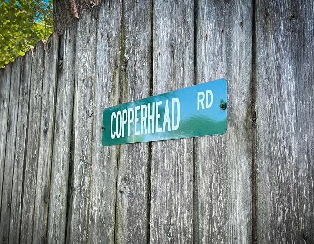 Customized Green Road Sign Personalized Novelty Street Sign thumbnail 3