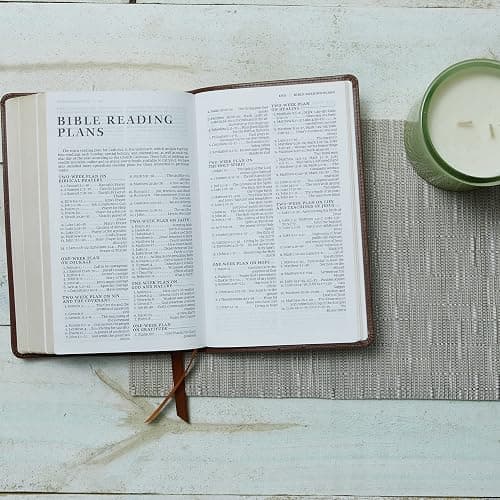 NRSV Catholic Edition Gift Bible, White Leathersoft (Comfort Print, Holy Bible, Complete Catholic Bible, NRSV CE): Holy Bible thumbnail 12