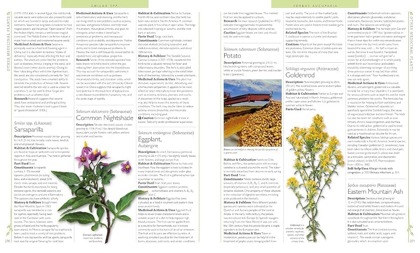 DK Encyclopedia of Herbal Medicine: 550 Herbs Loose Leaves and Remedies for Common Ailments thumbnail 5