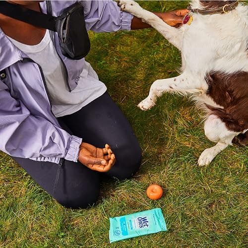 Wet Ones Sensitive Skin Hands and Face Wipes, 20 Count Travel Pack (Pack of 10) thumbnail 4