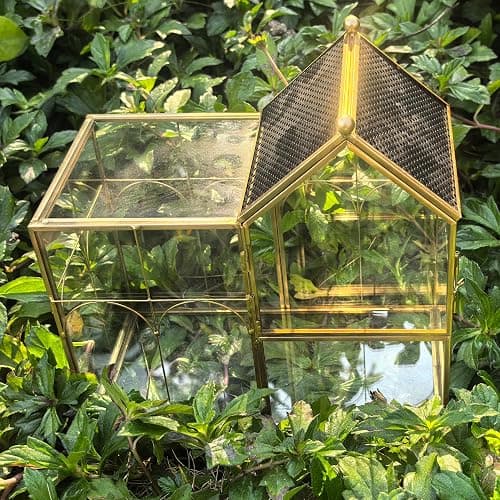 YYFWND Ready-to-Use Glass Terrarium with Vents - 8.66"x4.72"x8.46" House-Shaped Jumping Spider Enclosure, Habitat for Praying Mantis, Snails, Insect or Succulent Plants - Home Garden Tabletop Decor thumbnail 8