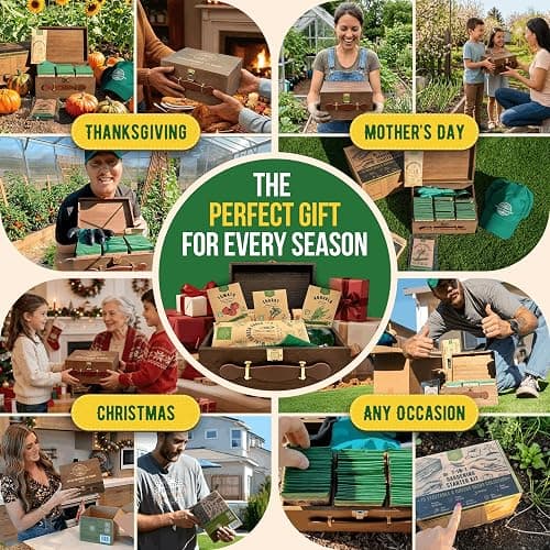 75 Medicinal & Tea Herb Seeds Variety Pack, Garden Seed Starter Kit - Over 47,380 Non-GMO Heirloom Seeds for Planting Herbs and Vegetables, Seed Box with Gardening Supplies, Gardening Gifts thumbnail 8